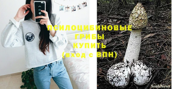 гашик Елизово
