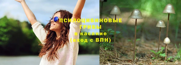 МДМА Ельня