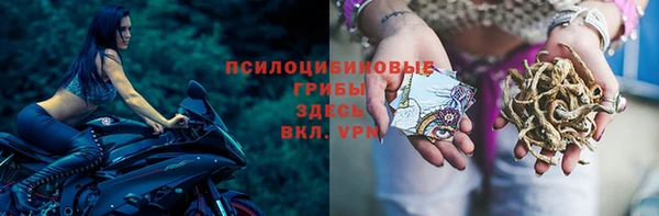 прущие крисы Дмитровск