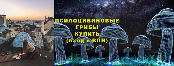 МДМА Ельня