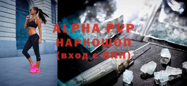 гашик Елизово