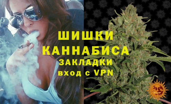 гашик Елизово