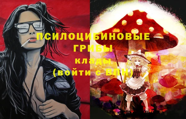 дурь Елабуга