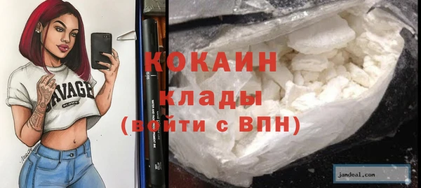 гашик Елизово