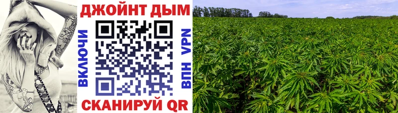 Купить  Малоархангельск  Шишки марихуана Ganja 